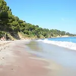 Mazet Tahiti Parc